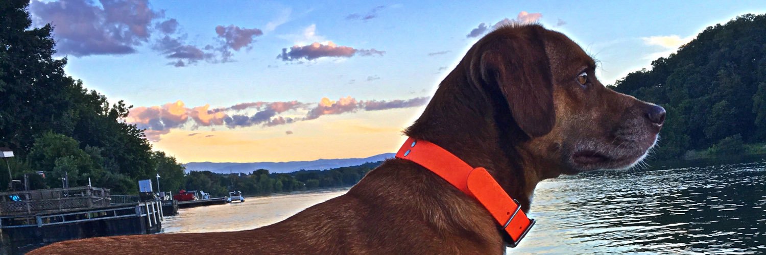 taylorwaters17's profile banner image