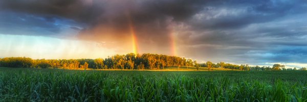 frankkdimon Profile Banner