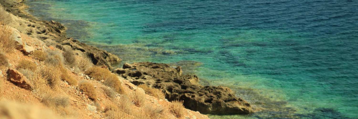 RFollesa's profile banner image