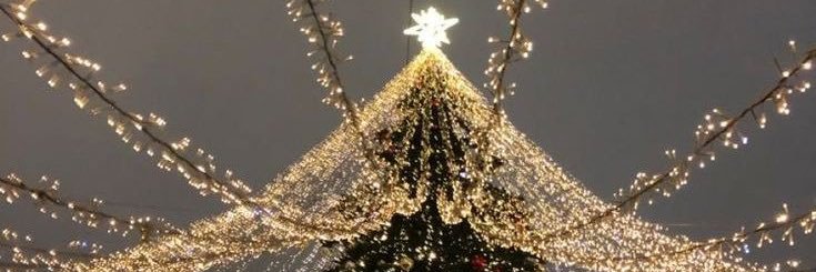 _Frambuaz__'s profile banner image