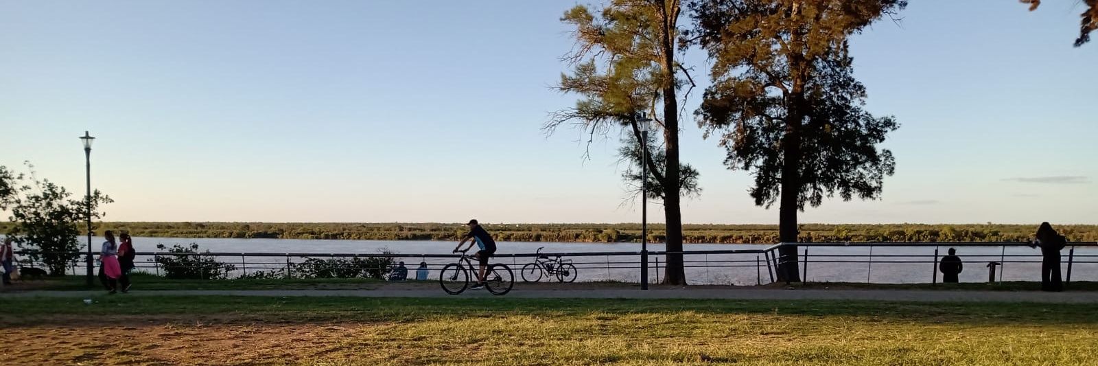 Elba Stancich banner