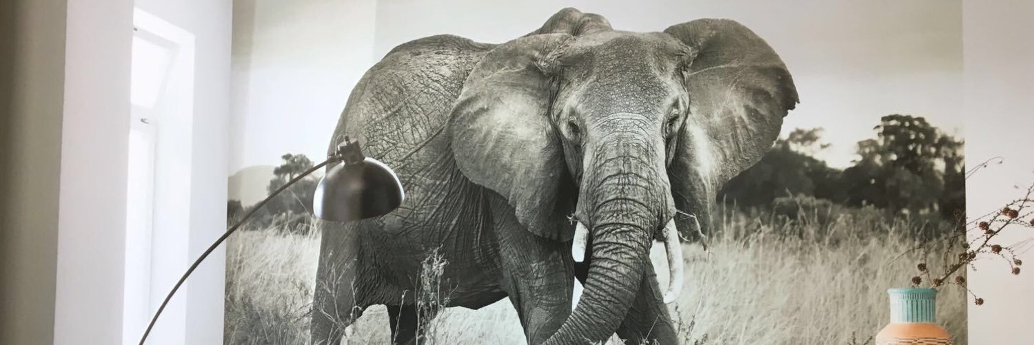Noordwand's profile banner image