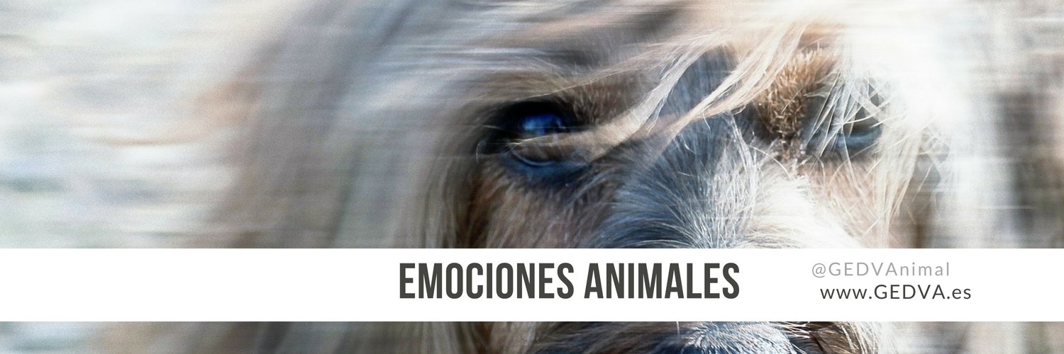 GEDVAnimal's profile banner image