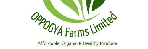 The Young Farmer banner