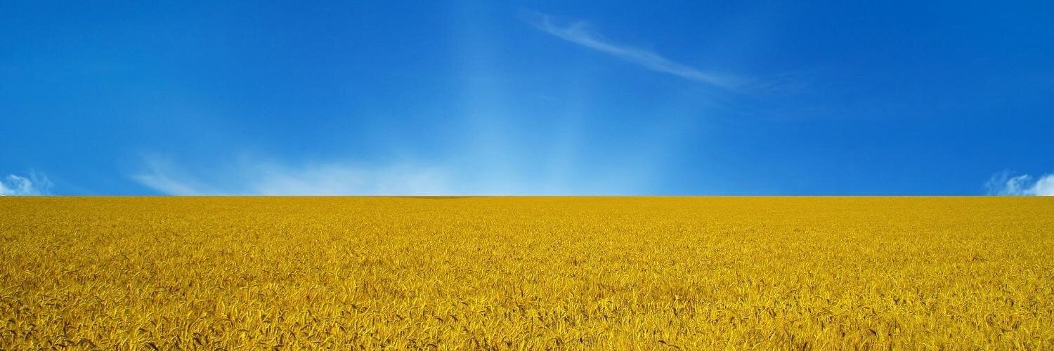 k8487k's profile banner image