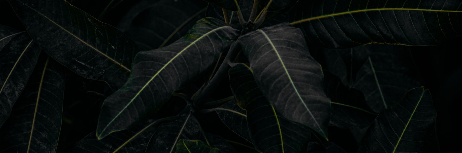 ayeDEEK's profile banner image