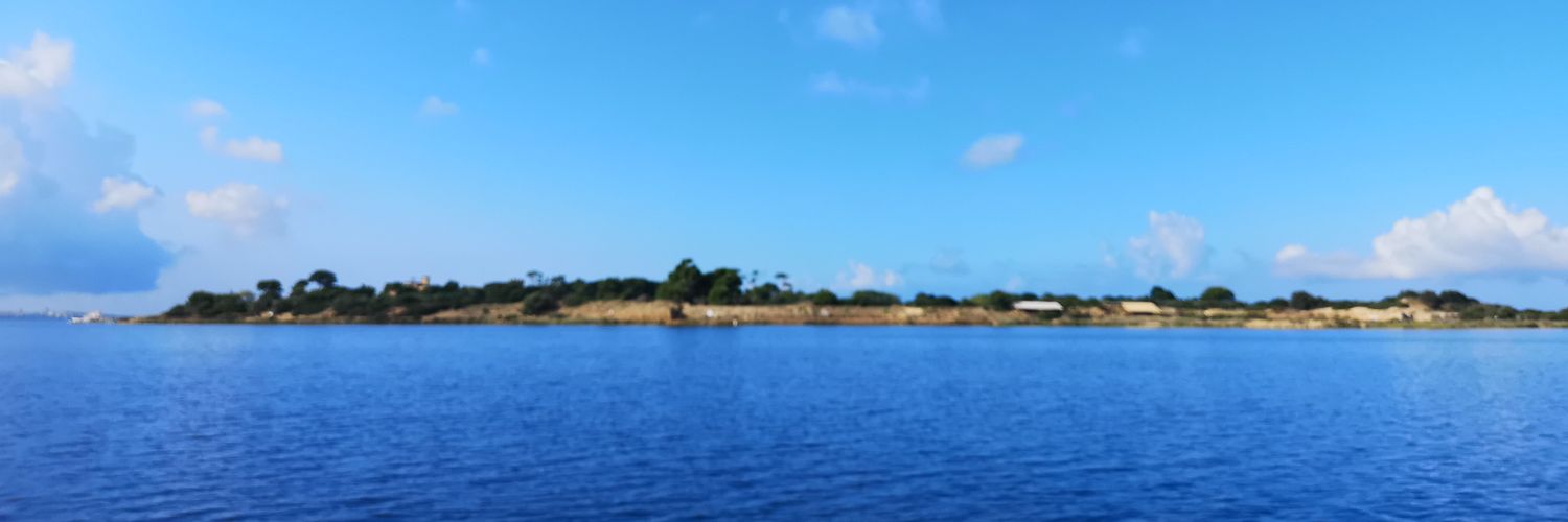 roberta_fazio's profile banner image