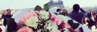 0Noouf's profile banner image