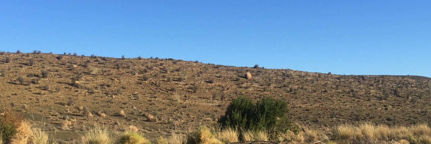 Monica du Toit banner