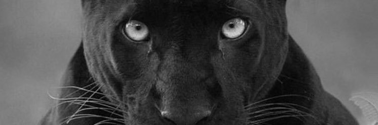 aykutarasoglu's profile banner image
