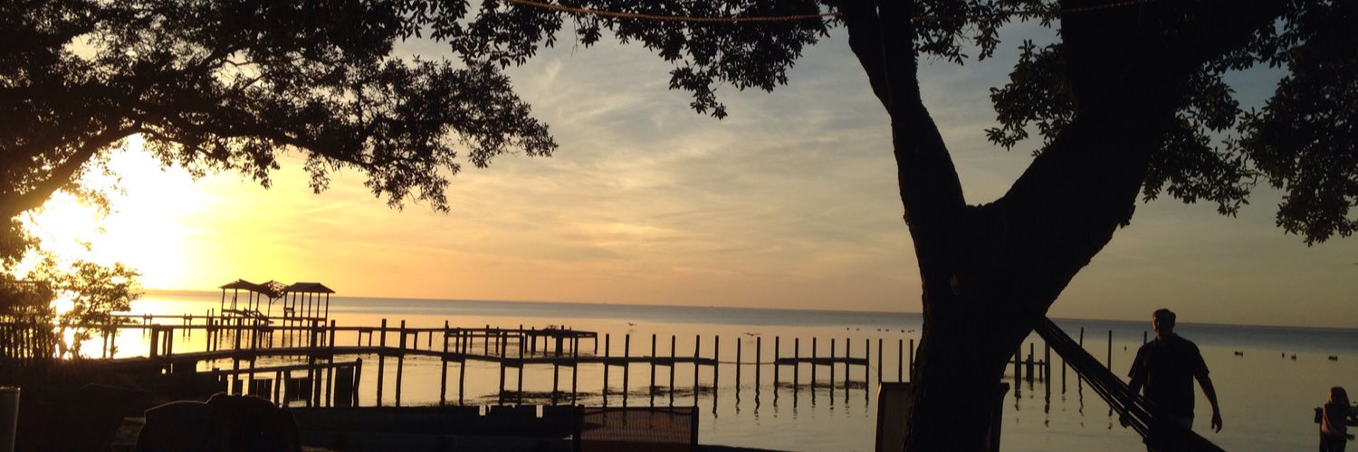 darbiez's profile banner image