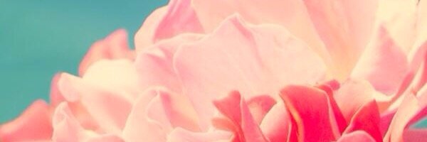 suharkor's profile banner image