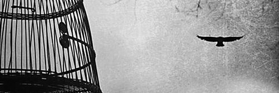 seyda_uslu_'s profile banner image
