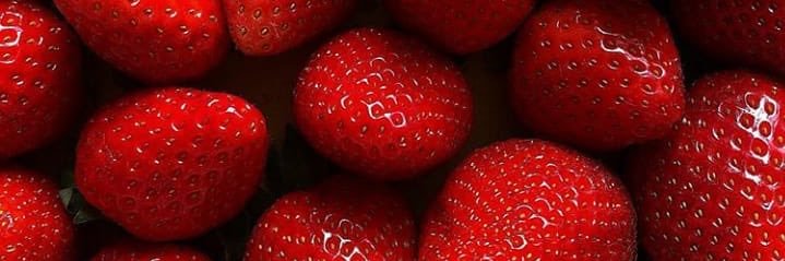 Rachel0Forever's profile banner image