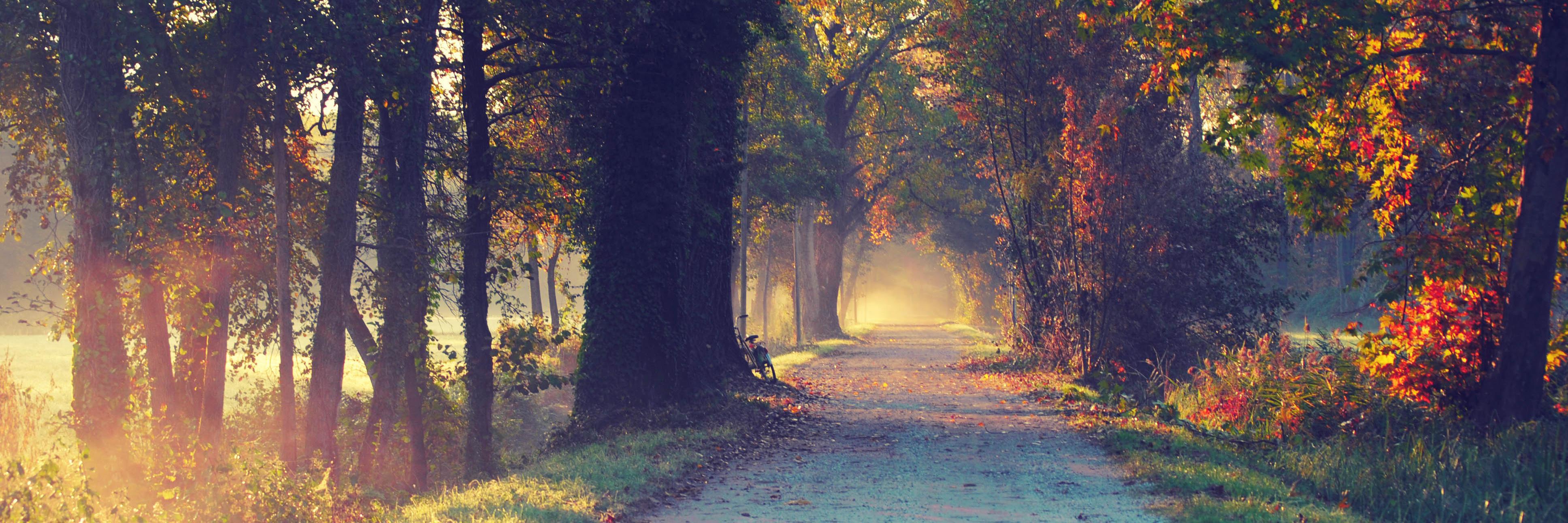 17thAutumnRain's profile banner image