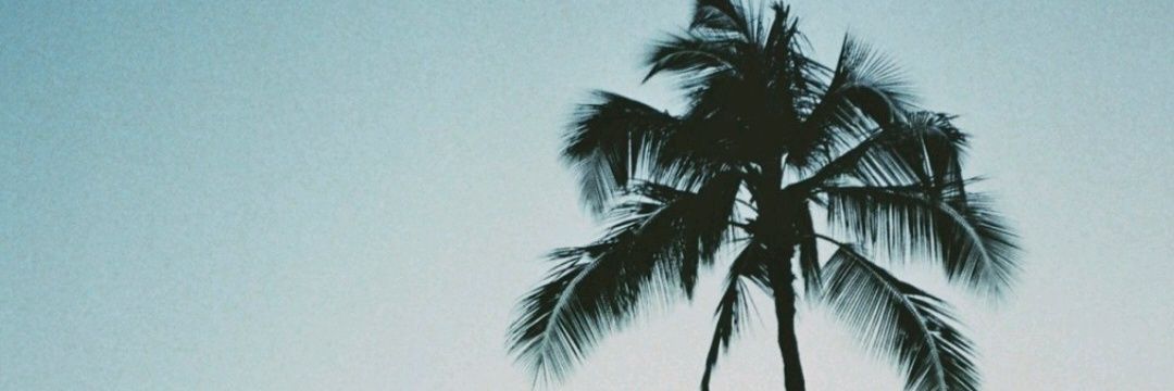 whatdupb's profile banner image