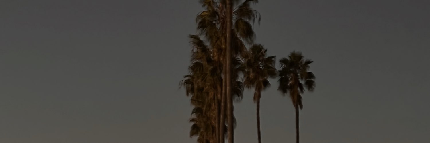 ash_hoffman's profile banner image