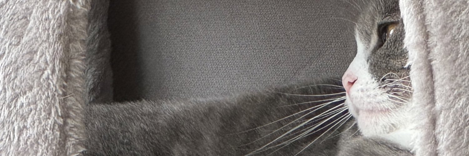 fari.b's banner