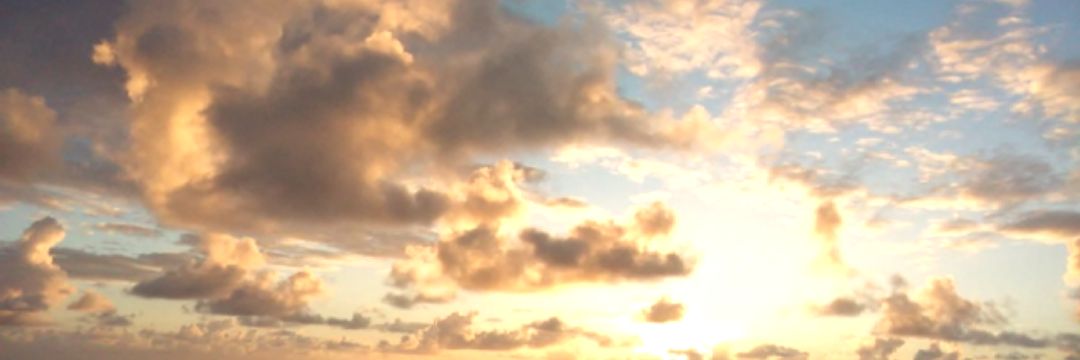 sociaIsolitude's profile banner image
