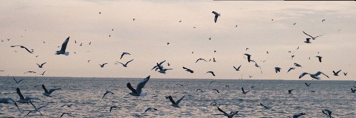 chiefmancrazy's profile banner image