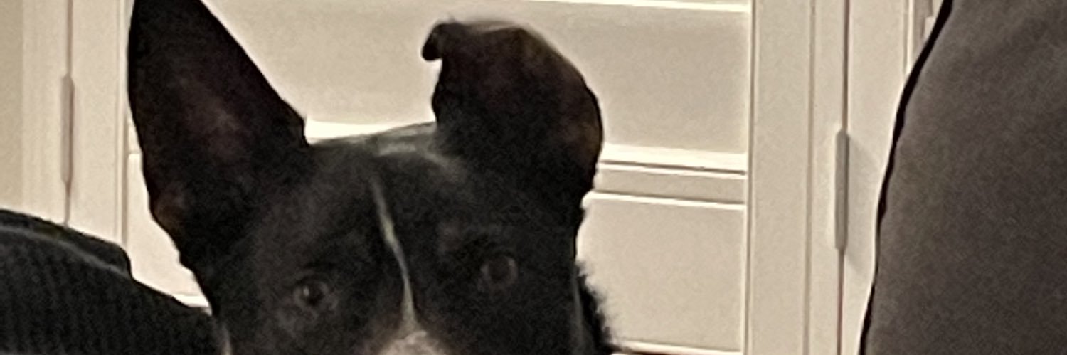 Vierrabros_c's profile banner image