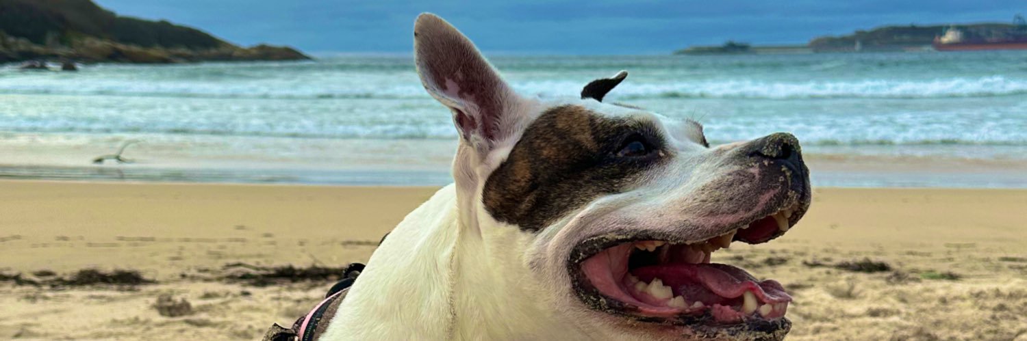 PradoAlba's profile banner image