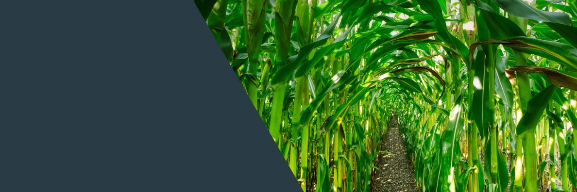 Charlie_Arnot's profile banner image