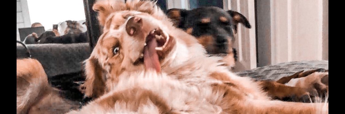 KayAmber08's profile banner image
