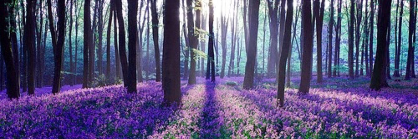 abi_akpt's profile banner image