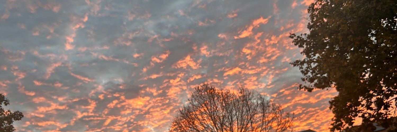 herplvboy's profile banner image
