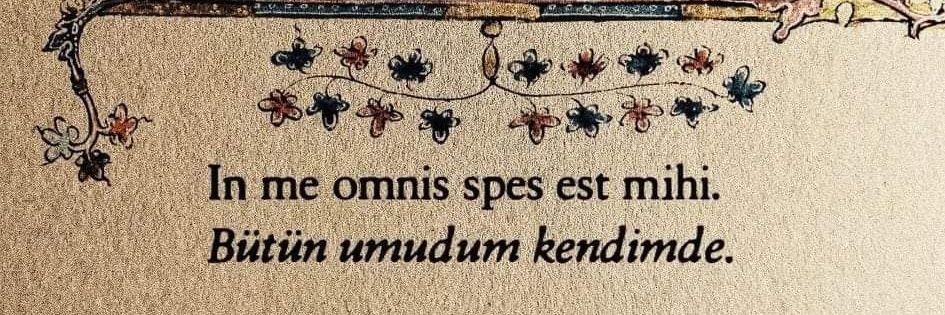 belgenbenli's profile banner image