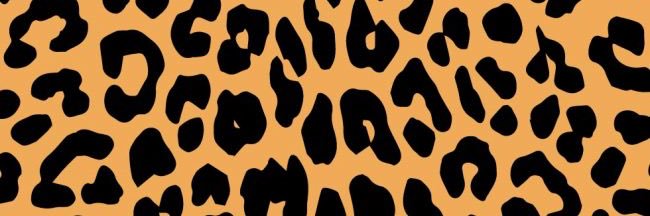SaraB_613's profile banner image