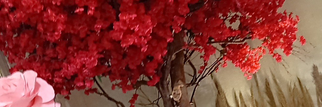 sapinho19's profile banner image