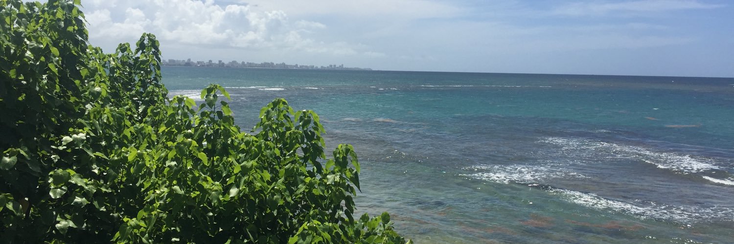 Alex F. Davila banner