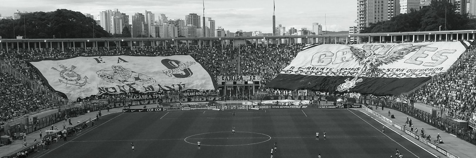 FelipeAllencar's profile banner image
