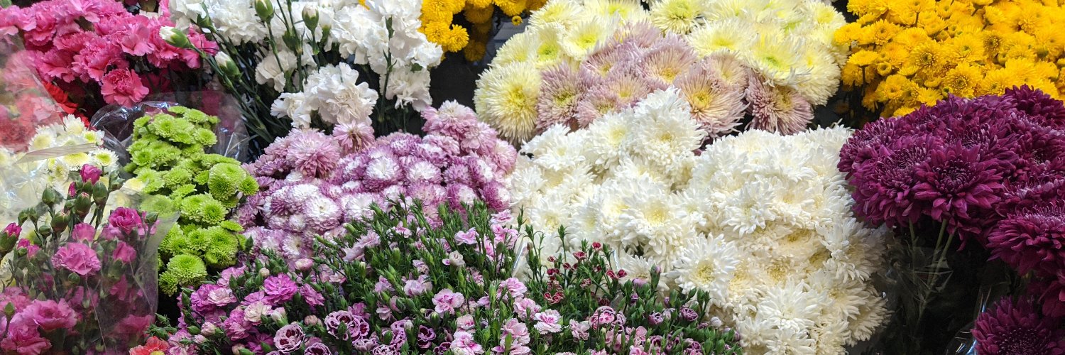 kemcnicholas's profile banner image