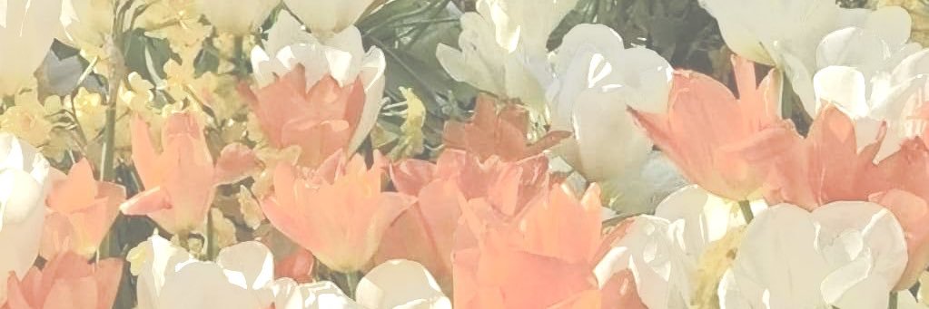 jessica is seeing niall banner