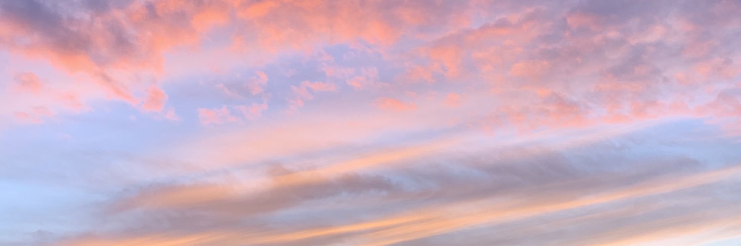 ___astraea's profile banner image