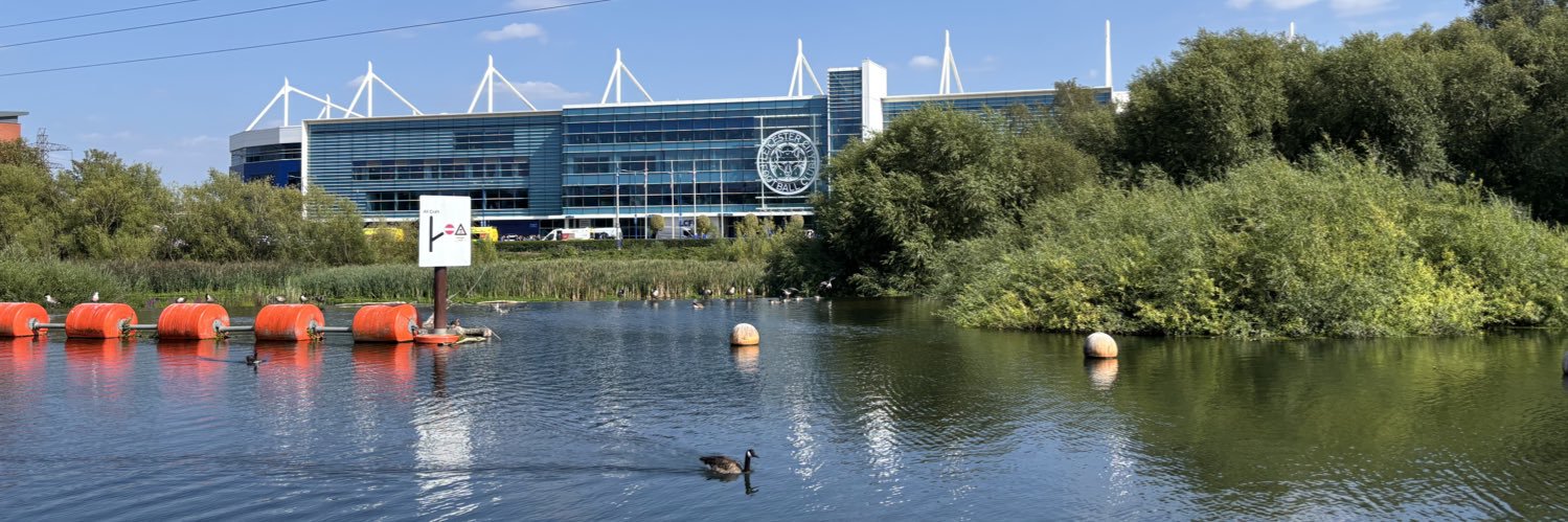 George Wilson banner