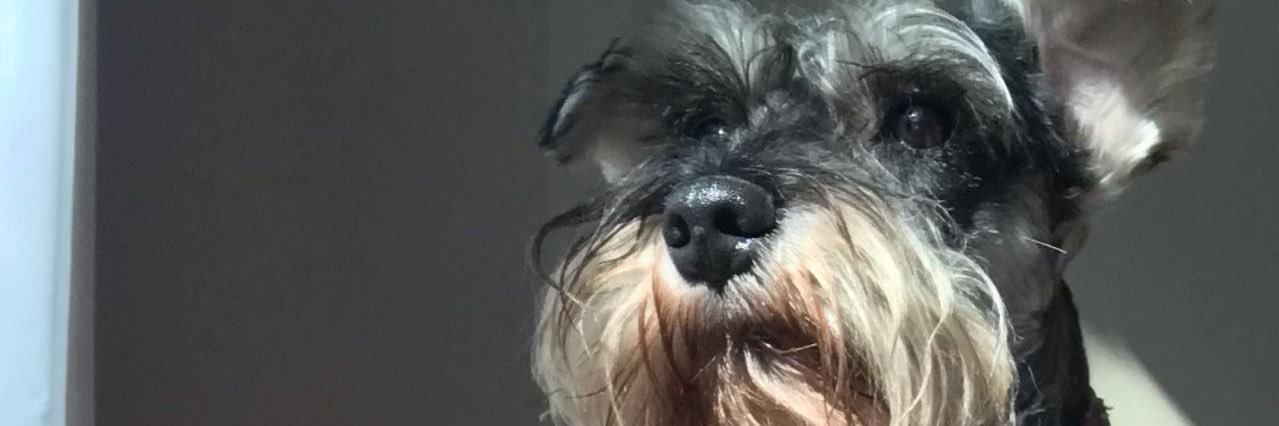 ivonemtzc's profile banner image