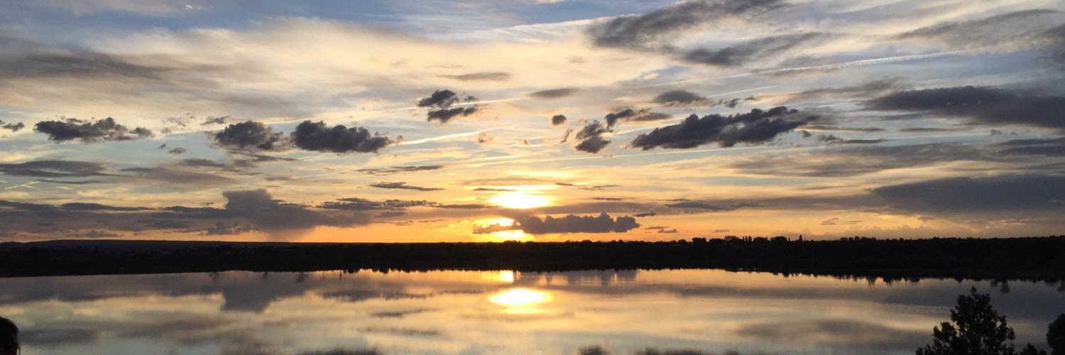 Darcy Wheeler banner