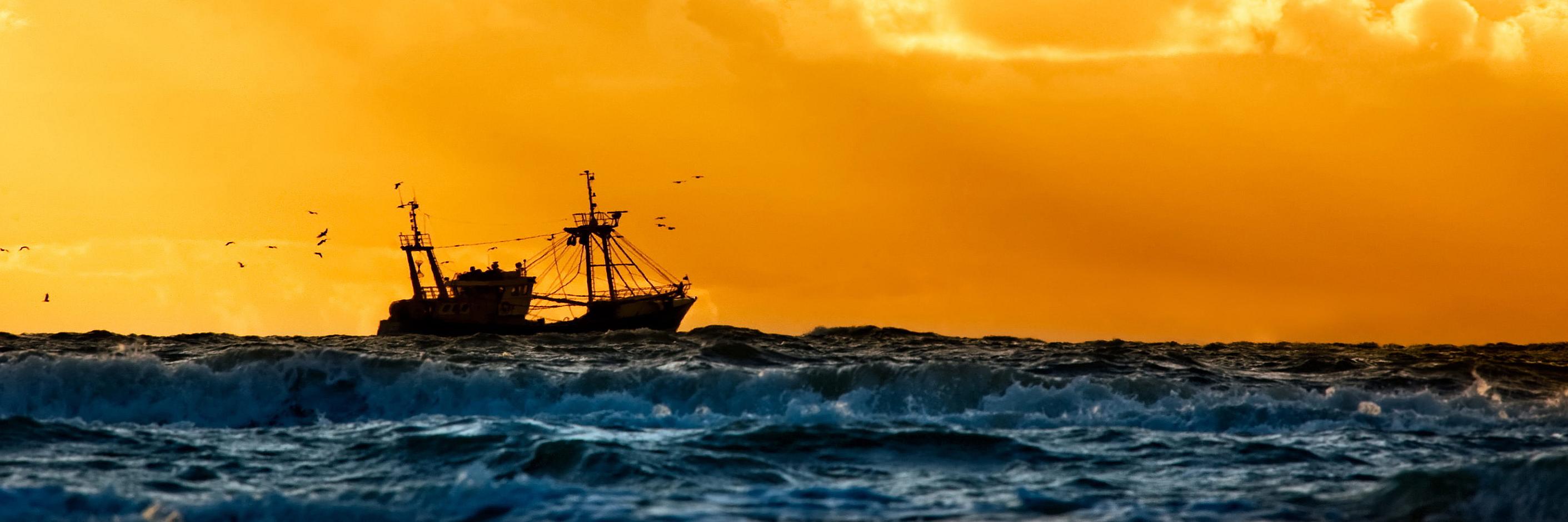 LAseafood's profile banner image