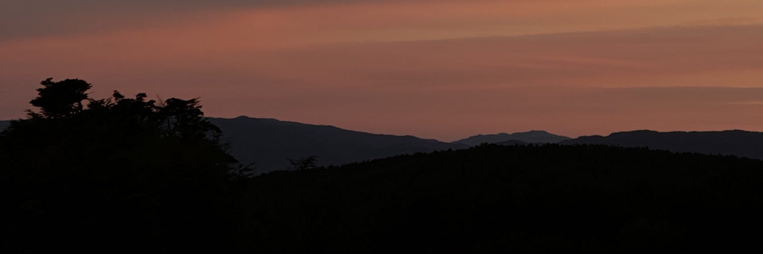 rociooborgesss's profile banner image