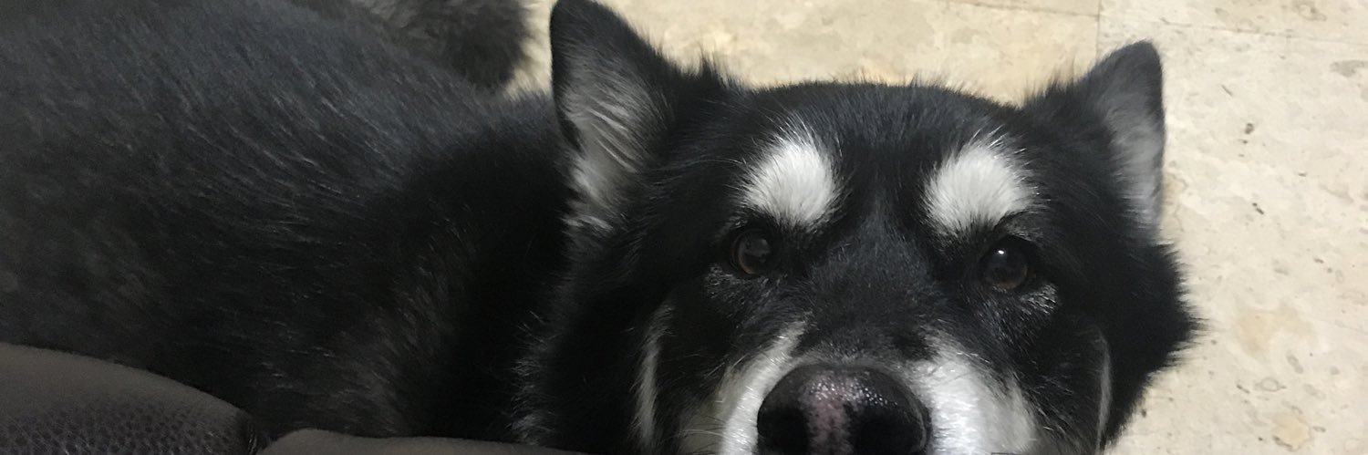 frenchiexc's profile banner image