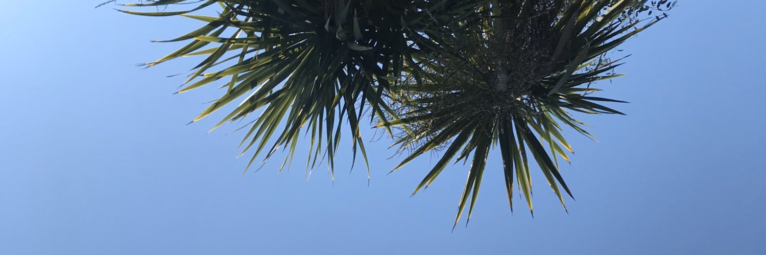Seannahrwold's profile banner image