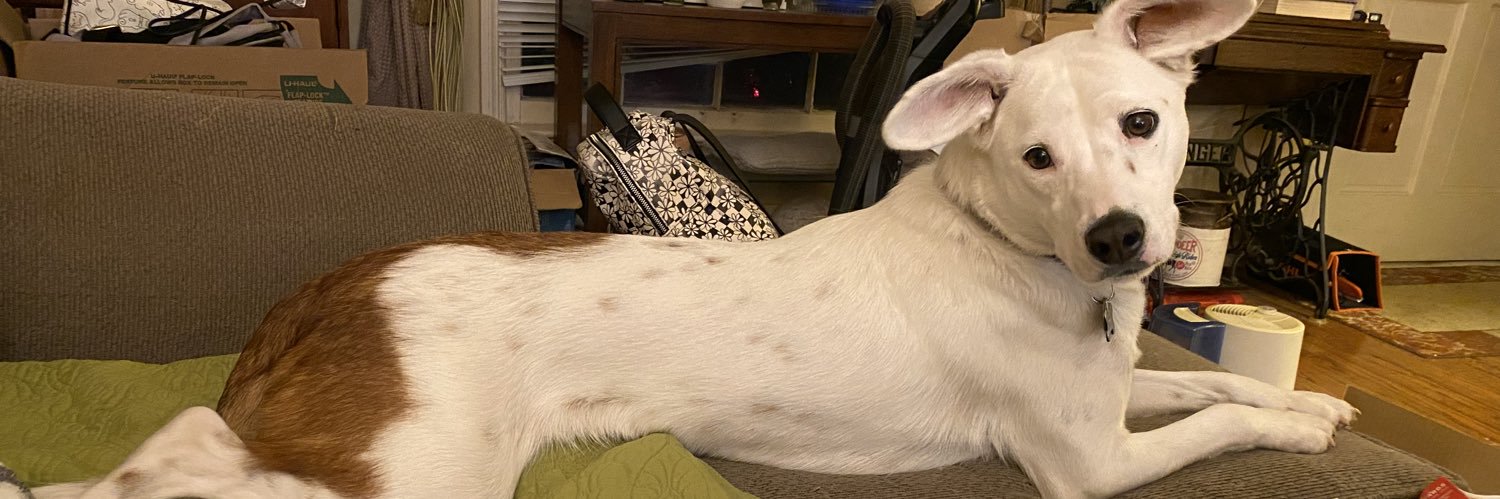 Cat_astrophe12's profile banner image