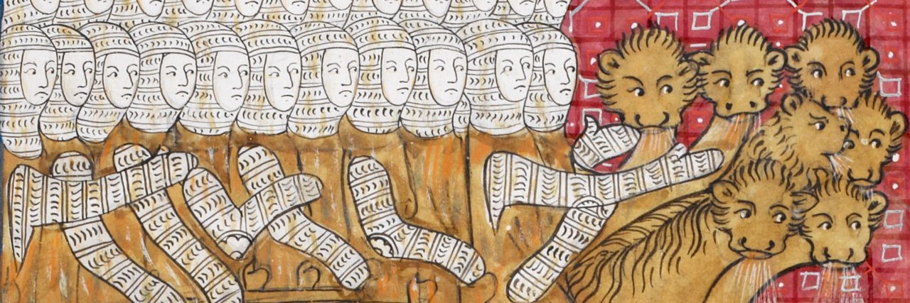 Gustavo Ampugnani banner