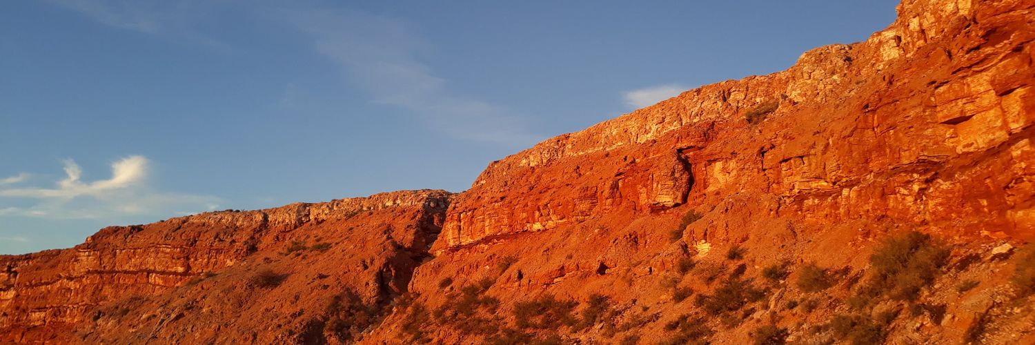 eesallgood's profile banner image