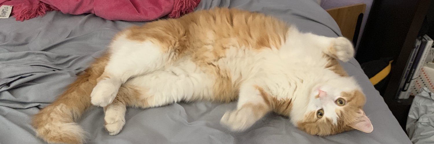 natalehannah's profile banner image