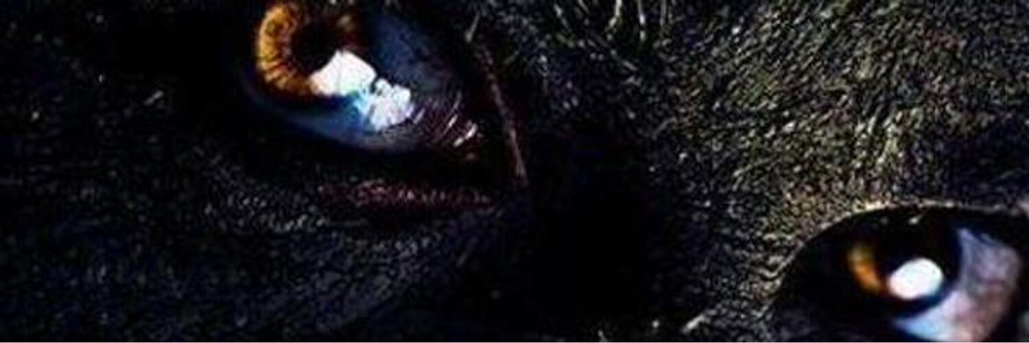 aguilacorta's profile banner image